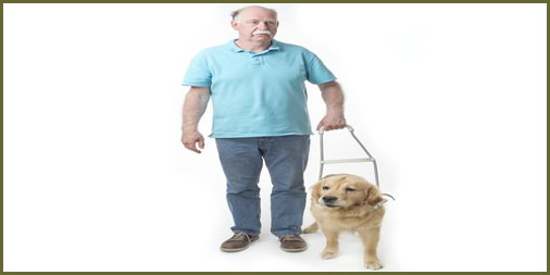 Tenants with Service Animals